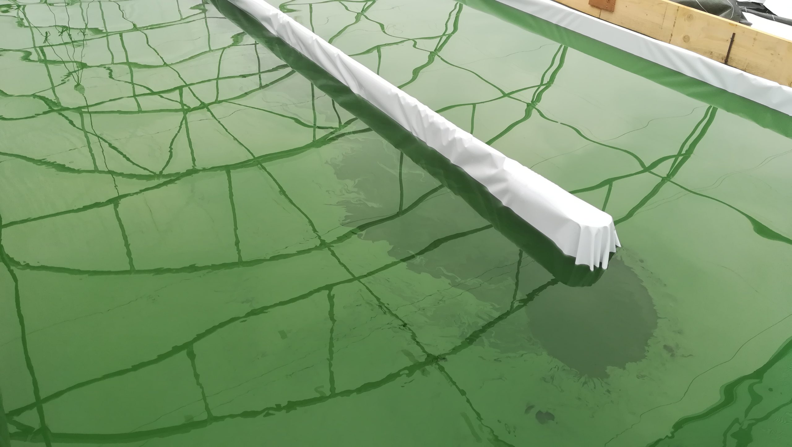 Bassin spiruline