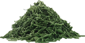 spiruline