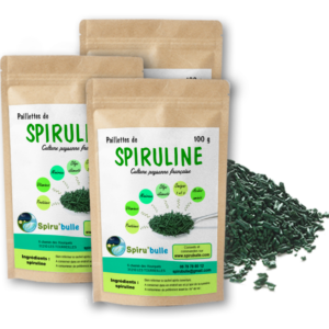 pack de 3 sachets de spiruline en paillettes