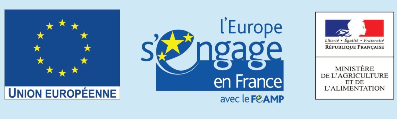 logo europe